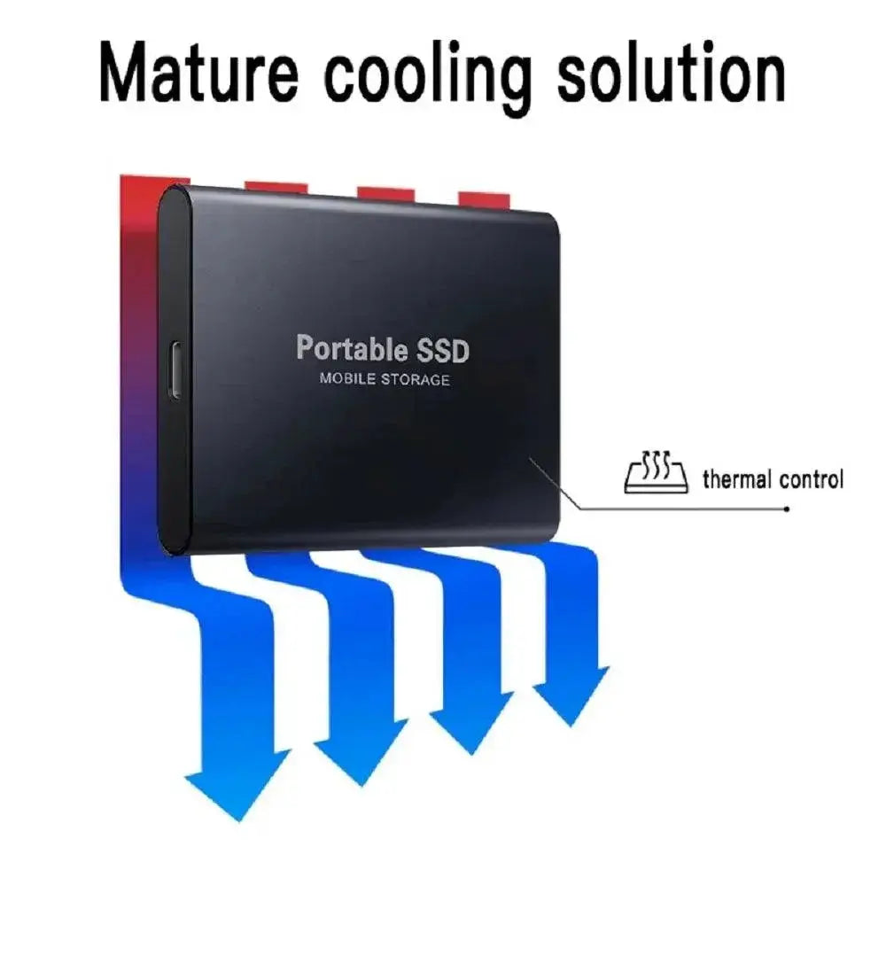High Speed Portable SSD for Laptop Mac Fast Transfer