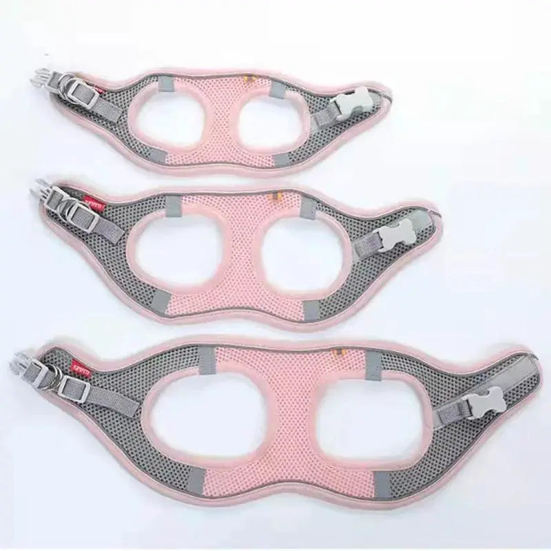 Madden Reflective Breathable Harness and Leash Set