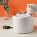 Pet Water Dispenser Fountain Heater Petkit Intelligent Fountain