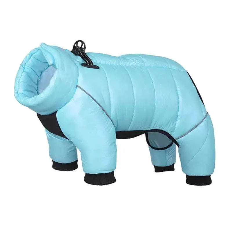Warm Winter Coat for French Bulldog — product view 13