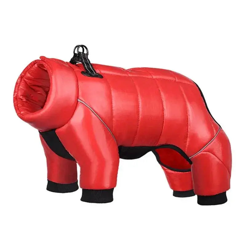 Warm Winter Coat for French Bulldog — product view 10