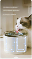 Ceramic Cat Water Fountain for Hydration