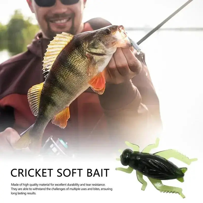 Cricket Bait Set 10Pc Artificial Fishing Lures Realistic