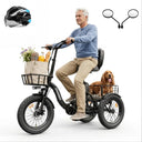 Folding Electric Trike For Adults