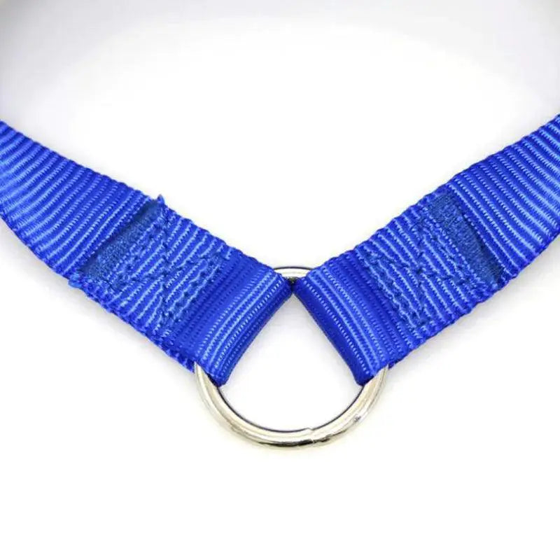 Double Dog Leash Coupler Nylon Lead For Walking Two Dogs