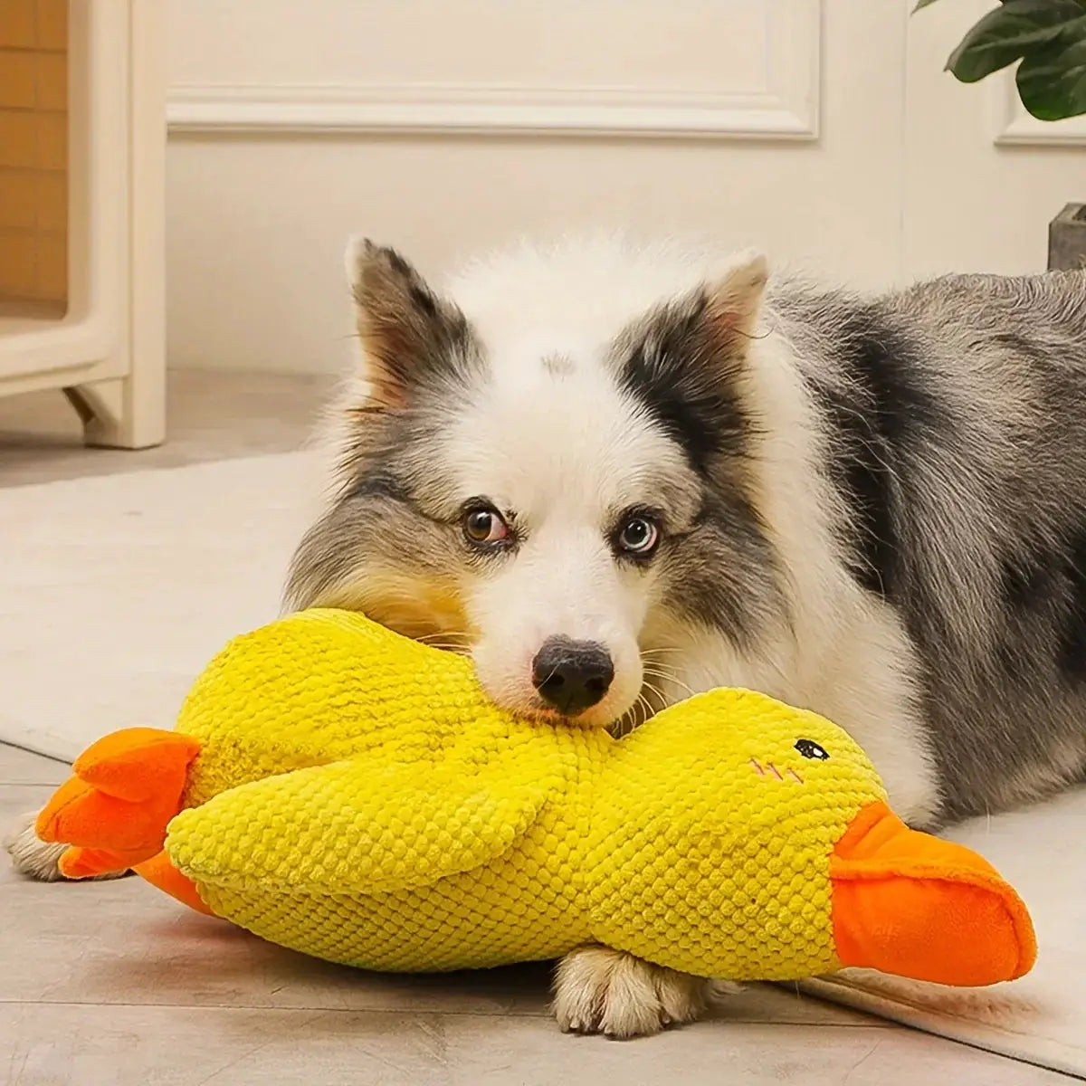 Large Duck Design Pet Grinding Teeth Squeaky Plush Toy