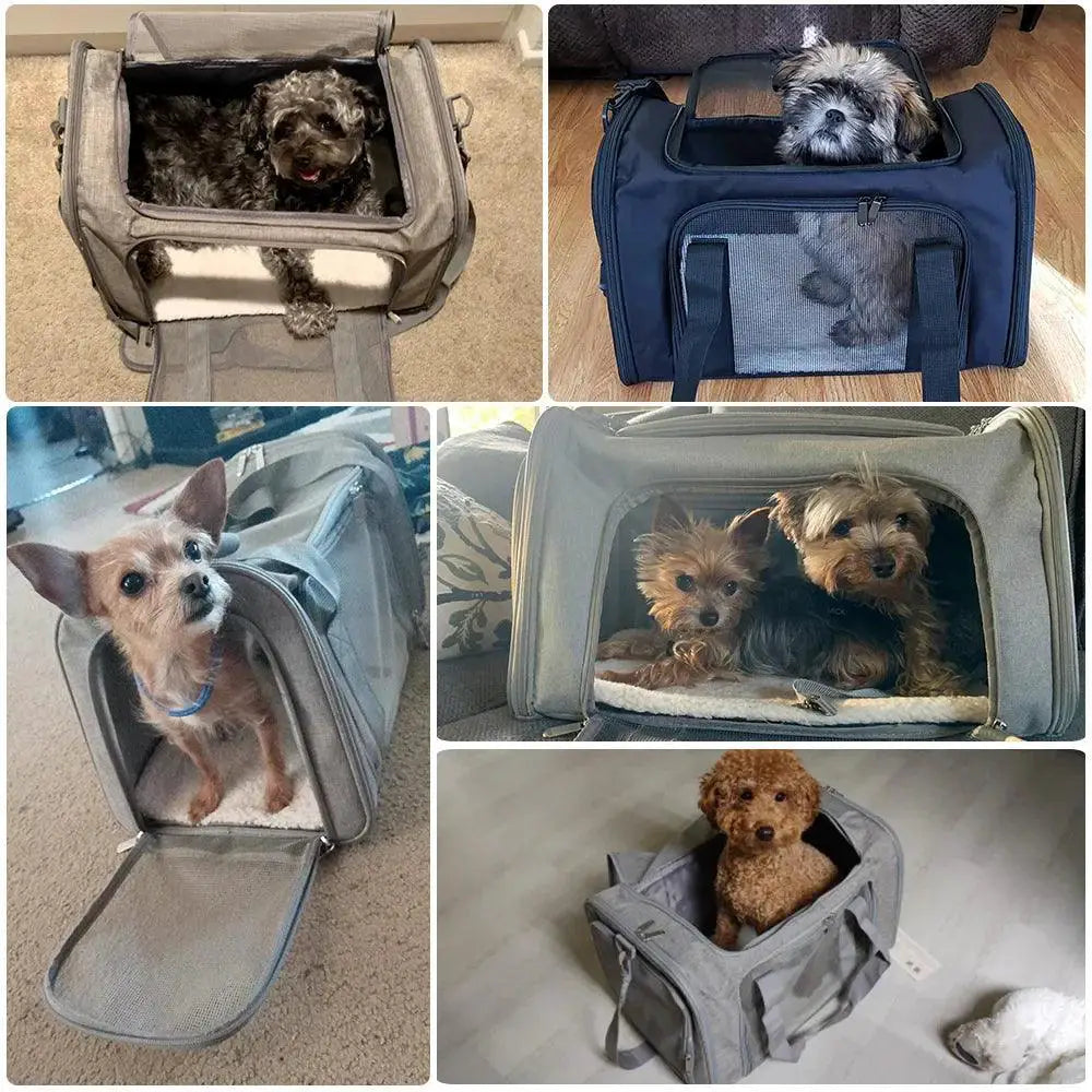 PawPack Soft Backpack Dog Carrier For Travel Safe And Cozy