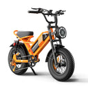 Adult Fat Tire Electric Bicycle
