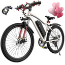 Fast Fat Tire Electric Bike