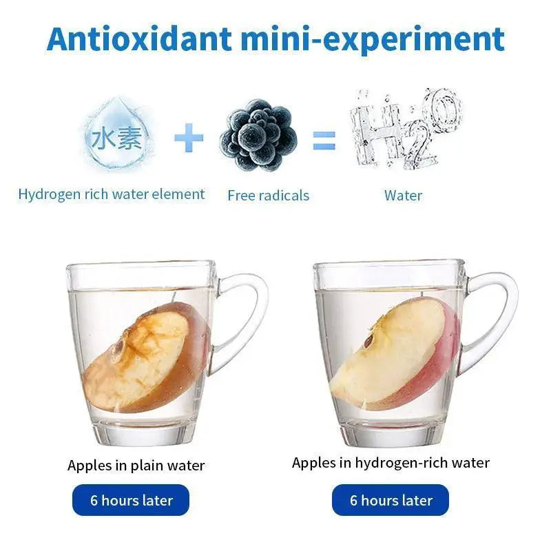 Hydrogen Infused Water Bottle Portable Ionizer Wellness