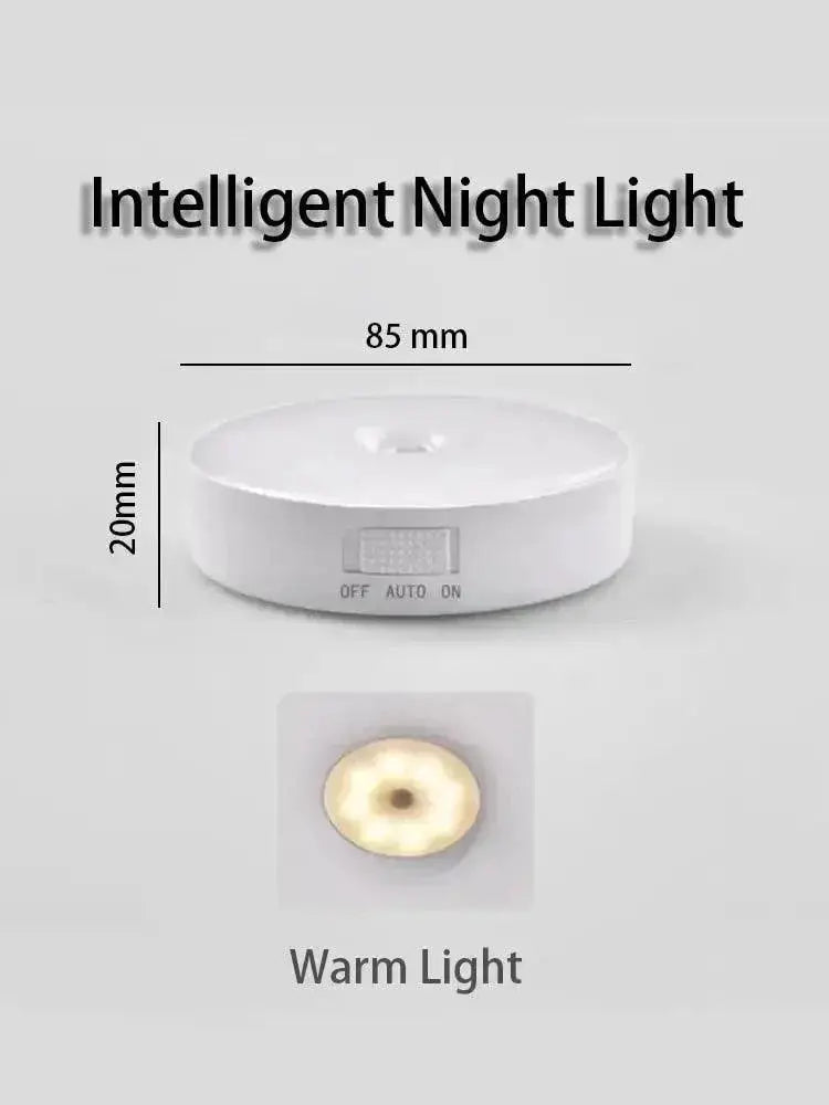 Intelligent Induction LED Night Lamp Motion Sensor Light