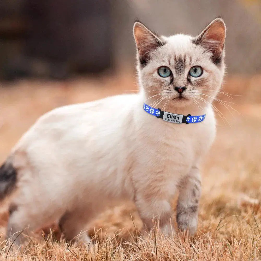 Adjustable Personalized Nylon Cat Collar With Bell And Tag