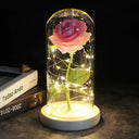 Enchanted Galaxy Rose Glass Dome Eternal Love Gift Set Deluxe