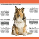 Professional Pet Clipper Blade Replacement A5 Blade for Andis Oster