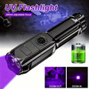 Zoomable UV Flashlight - Rechargeable Pet Detector