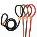Gentle Correction Leash for Medium Dogs