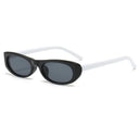 Trendy Women's Retro Oval Sunglasses Small Frame UV400 Protection
