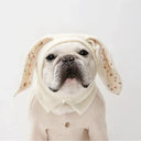 Cozy Warmth Pet Hat for Winter Dogs