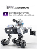 Robot Dog for Kids: Singing 2.4G RC Toy
