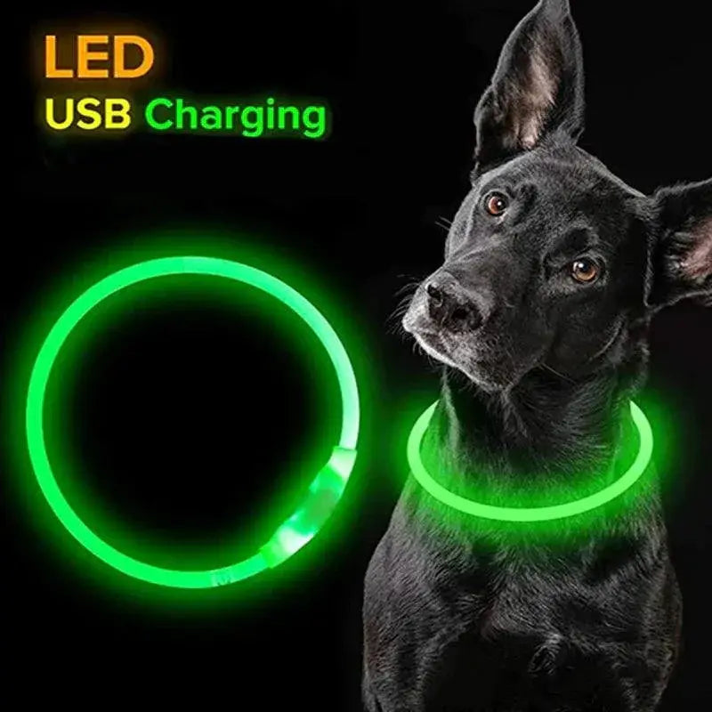 Led Dog Collar USB Charge Night Glow Safety Pet Accessory
