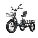Cybervelo Adult Folding Fat Tire E-Tric