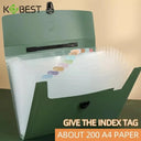 Keeps Papers Neat A4 13-Pocket Folder