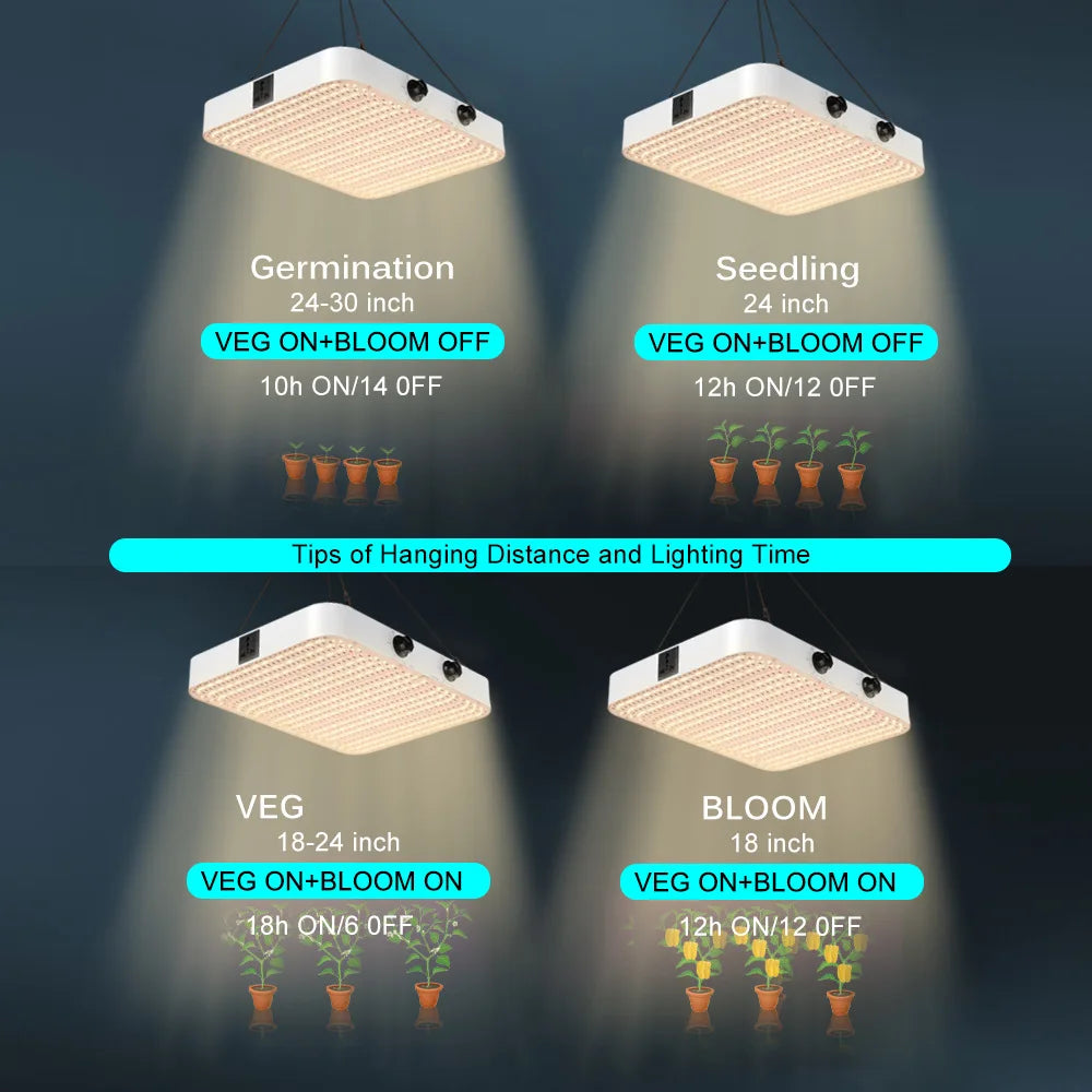 LED Grow Light
