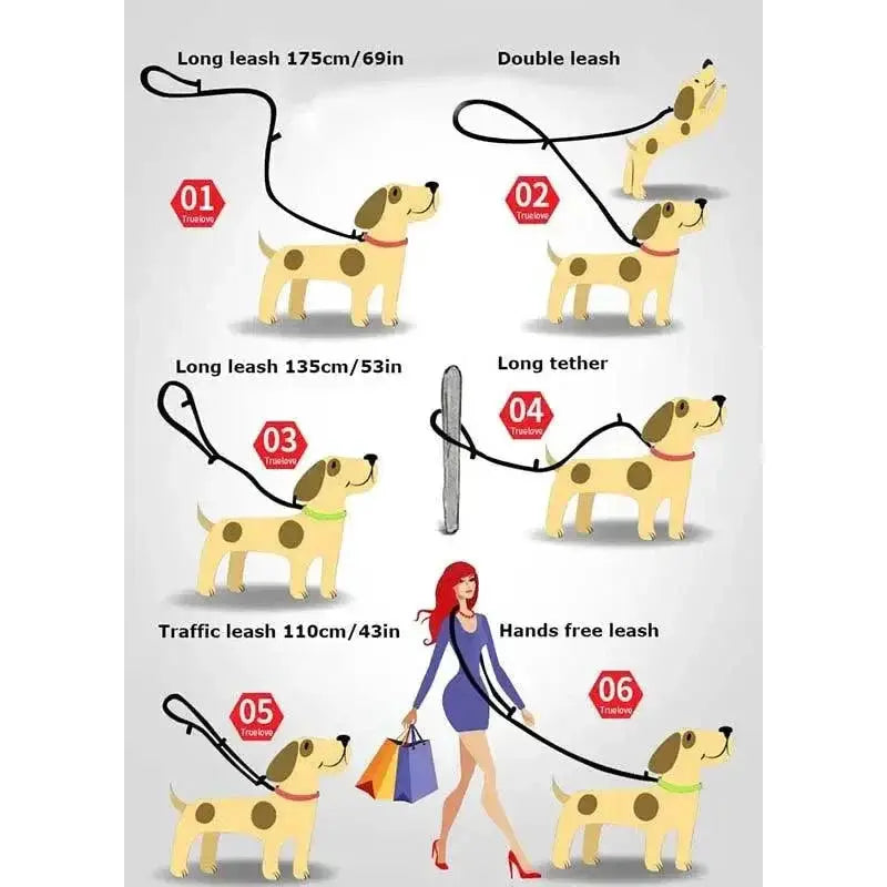 Truelove Hands Free Reflective Dog Leash for Training