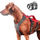 No-Pull Reflective Dog Harness for Walks