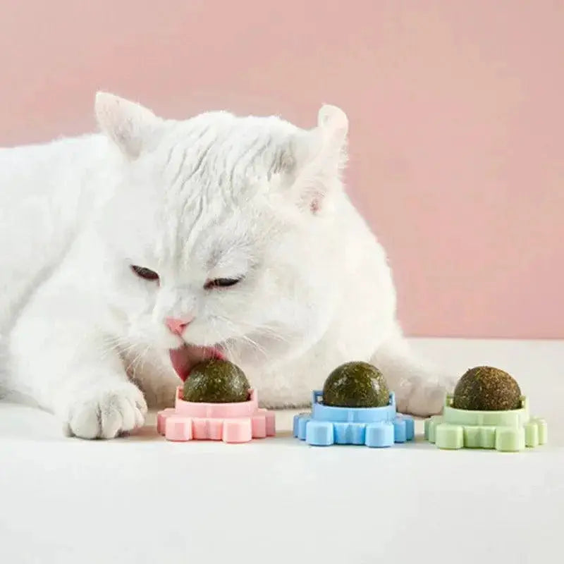 Catnip Rotatable Wall Ball Toy For Healthy Teeth Cleaning