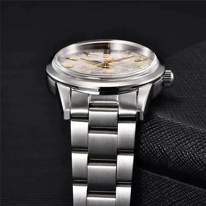 Pagani Design Mens Luxury Quartz Watch With Sapphire Crystal