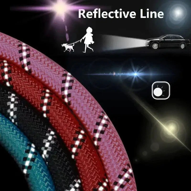 Strong Leash For Dogs With Soft Handle And Reinforced Design