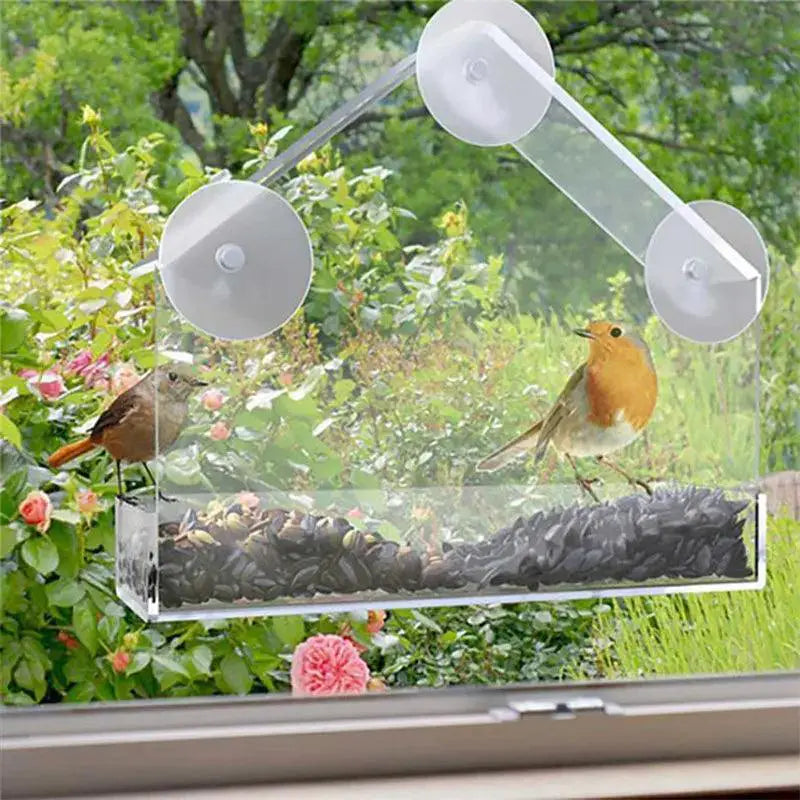 Transparent Bird Feeder House Suction Cup Window Gazebo