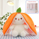 Pacify Transformation Bunny Girl Gift Ragdoll Doll For All Ages