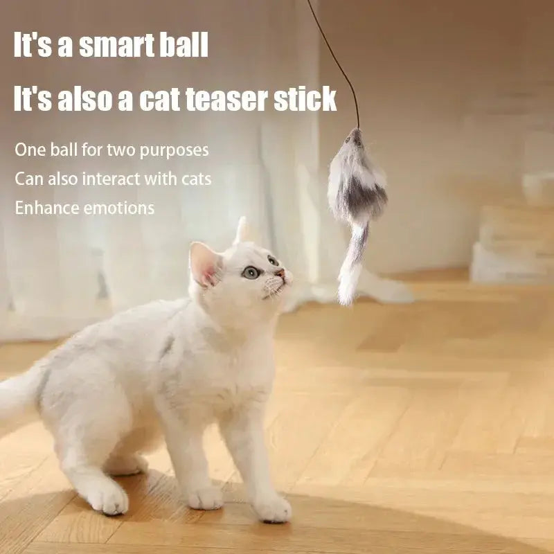 Kimpets Cat Toys Mouse Teaser Ball Electric Moving Toy