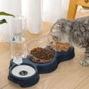 Pet Feeder And Water Fountain Double Bowl For Cats