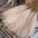 Elegant Boho Fluffy Pampas Grass for Weddings and Home Decor