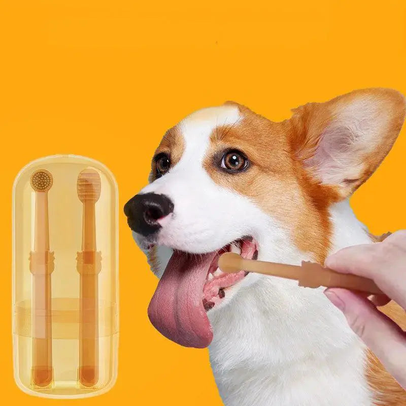 Pet Dental Care Kit Silicone Toothbrush And Toothpaste