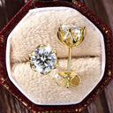 Gold Filled Moissanite Stud Earrings