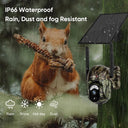 LS VISION Solar Security Camera: Color Night Vision Protection