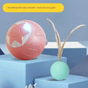 Smart Cat Teasing Ball for Curious Cats
