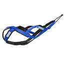 Secure Dog Harness for Husky Outdoor