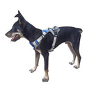 Adjustable Nylon Dog Harness with Reflective Vest Fit
