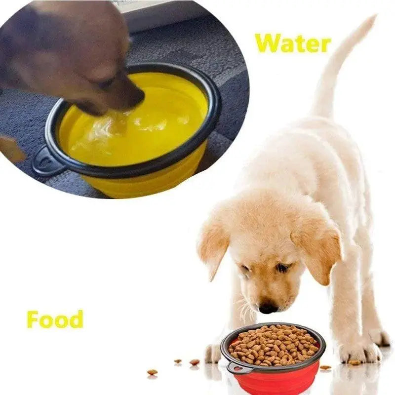 Portable Silicone Dog Bowl Soft Easy Clean Travel Feeder