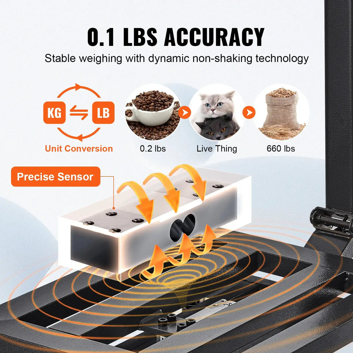 Digital Platform Scale — product view 4
