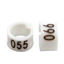 Bird Training Rings: Colorful Tools for Parrot Use