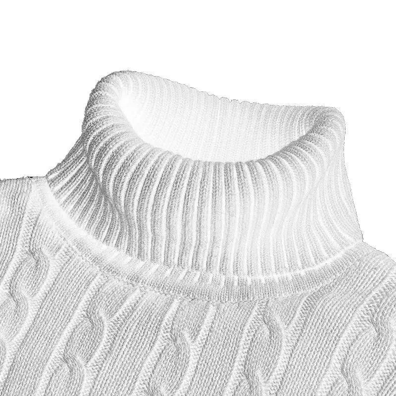Mens Winter Turtleneck Wool Sweater Stylish Cozy Pullover