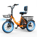 Qlife Triker - Fat Tire