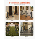 Stanchion Posts With Velvet Ropes Set