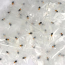 MK8 Precision PTFE Coated Nozzle Set Smooth 3D Kit